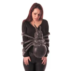 Araignée veuve noire