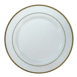 10 assiettes de luxe réutilisables avec bordure en plastique - Diamètre 23 cm - Couleur au choix