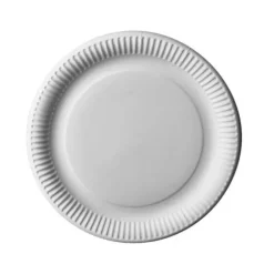 12 Assiettes en Carton - 29 cm - Blanc - "Pure"