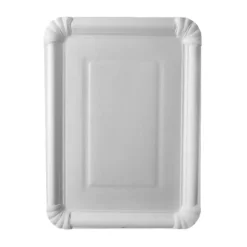 6 Assiettes Rectangulaires en Carton - 21,5 x 29 cm - "Pure"