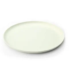 40 Assiettes rondes et plates biodégradables - 24 cm