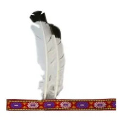 Bandeau Indien avec plumes pour adulte