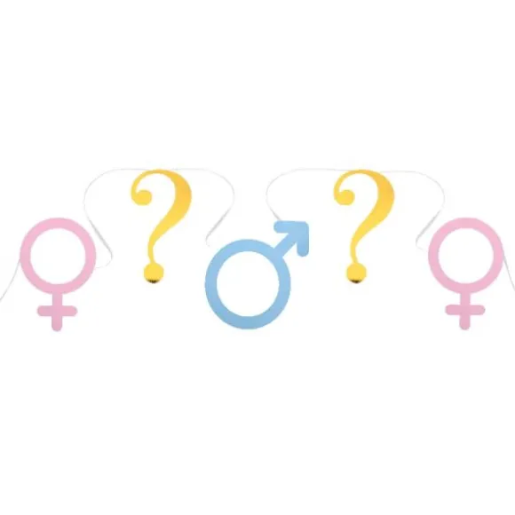 Banderole de 5 mètres - Girl or Boy ?