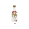 Bouteille en verre avec fleurs séchées - 17 cm - Couleur au choix