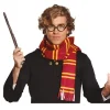 Écharpe et lunettes de sorcier