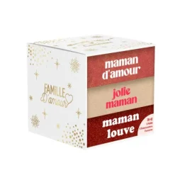 Coffret Trio de chaussettes à paillettes pour femme - Maman - Collection Famille d'Amour