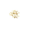 Confettis de Table - Ivoire, Or et Paillettes Or