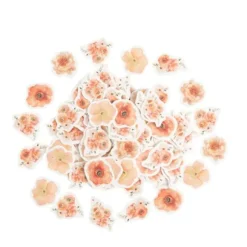 100 confettis en papier à parsemer FSC® - Collection Peachy