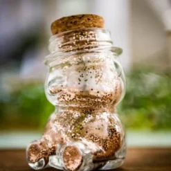 Contenant en Verre Ourson et son Bouchon en Liège