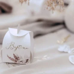 10 Contenants - Collection Pampas, Fleurs de Coton et Or
