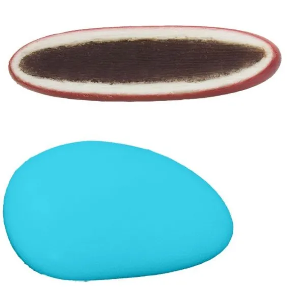 Dragées Séduction Chocolat 500 gr – Turquoise