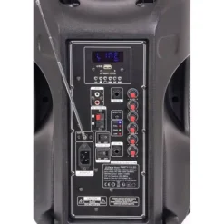 Enceinte portable 12'' 700W avec Micro