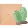 6 Enveloppes et Invitations - Lama et Cactus