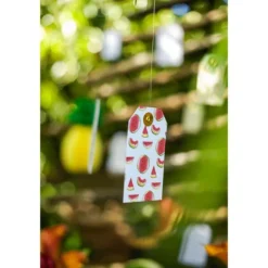 10 Etiquettes Pastèque 