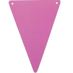 5 Fanions en Carton Unis - Fuchsia