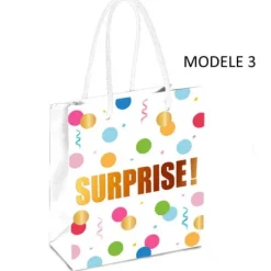 Grande Pochette Cadeaux Anniversaire - Modèle au Choix