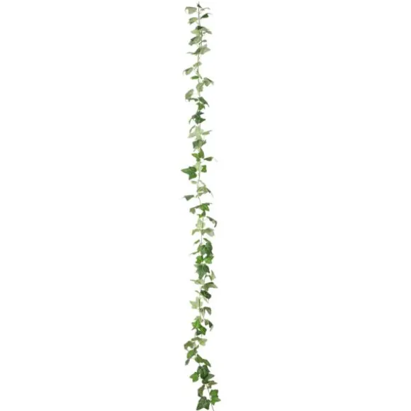 Guirlande de lierre fine verte - 220 cm