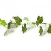 Guirlande Feuilles de Vigne - 140 cm