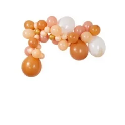 Kit arche 46 ballons - Dégradé de Blush à Camel