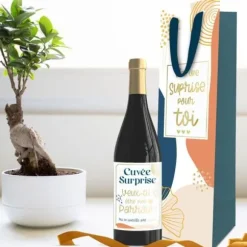 Kit Bouteille Annonce - Cuvée Surprise Veux-tu être mon parrain ? - Collection Annonce de Grossesse