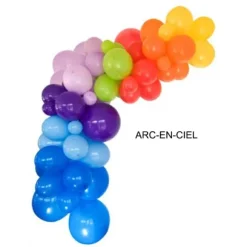 Kit Guirlande de 50 Ballons Organiques de 5 mètres - Couleur au Choix