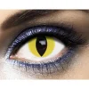Lentilles "Yellow Cat" - 1 an (sans correction)