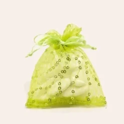 Lot de 6 Sachets Fantaisie Pailletés - Anis