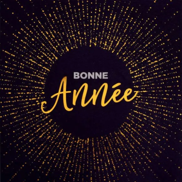 Lot de 20 serviettes noires - Bonne Année - 33 x 33 cm