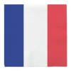 Lot de 20 serviettes Tricolore France - 33 x 33 cm