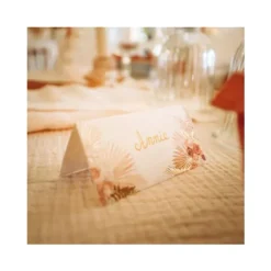 10 Marque-Places - Collection Coachella