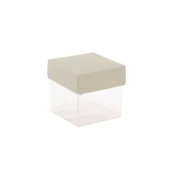 Mini cubes à dragées fond transparent x10 - Coloris au choix