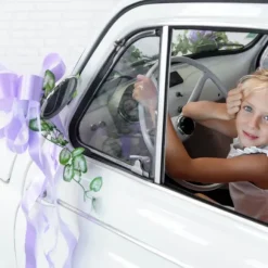 5 Noeuds automatiques en tulle - Parme