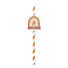 Pack de 12 pailles - Joyeux Anniversaire - Collection Terracotta