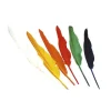 Pack de 12 plumes multicolores
