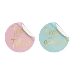 Pack de 16 stickers pour t-shirt - Fille ou Garçon ? - Collection Gender Reveal
