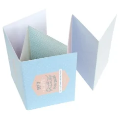 Petit Album de Grands Souvenirs - MR. WONDERFUL