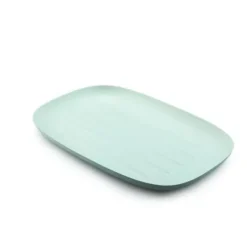 10 plateaux en canne à sucre - Bagastro - 35 x 24 x 2,5 cm