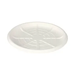 25 plateaux en canne à sucre pure pour fruits de mer - Diamètre 35 cm
