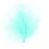 20 Plumes Bleu Ciel