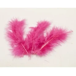 20 Plumes Décoratives - Fuchsia