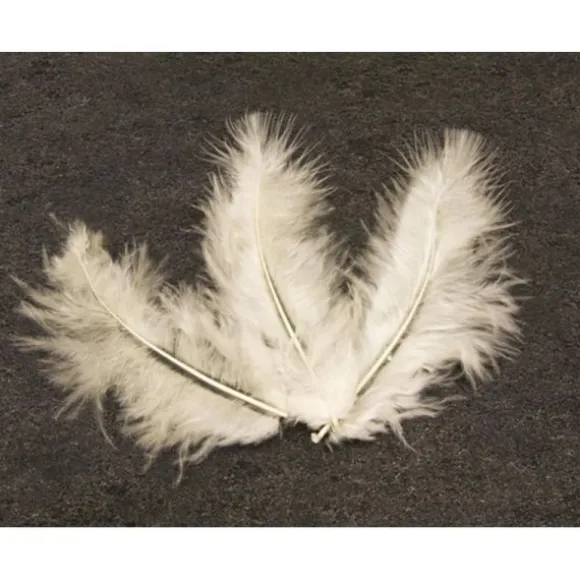 20 Plumes Décoratives - Ivoire