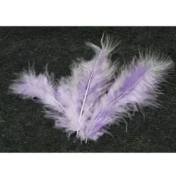 20 Plumes Décoratives - Parme