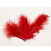 20 Plumes Décoratives - Rouge
