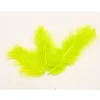 20 Plumes Décoratives - Vert Anis