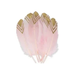 6 Plumes Ethniques Rose - Paillettes Or