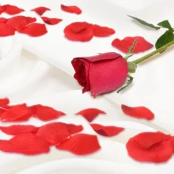 Pétales de rose à parsemer - 15 g - Saint-Valentin - Collection Chéri Chérie