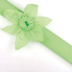 Rouleau papier crépon 10m – Vert Anis