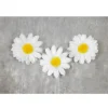 Sachet de 12 Marguerites Décoratives