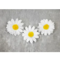 Sachet de 12 Marguerites Décoratives