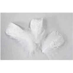 Sachet de 20 Plumes Décoratives Pailletées - Blanc
